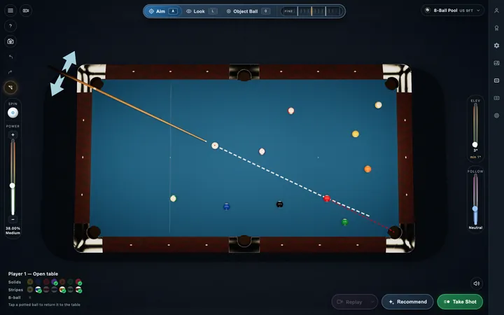 CueSim Overhead view of the whole pool table